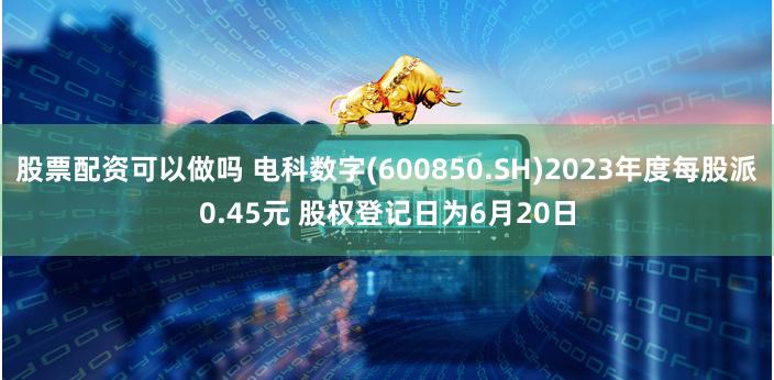 股票配资可以做吗 电科数字(600850.SH)2023年度每股派0.45元 股权登记日为6月20日