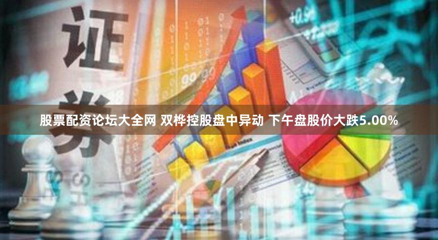 股票配资论坛大全网 双桦控股盘中异动 下午盘股价大跌5.00%