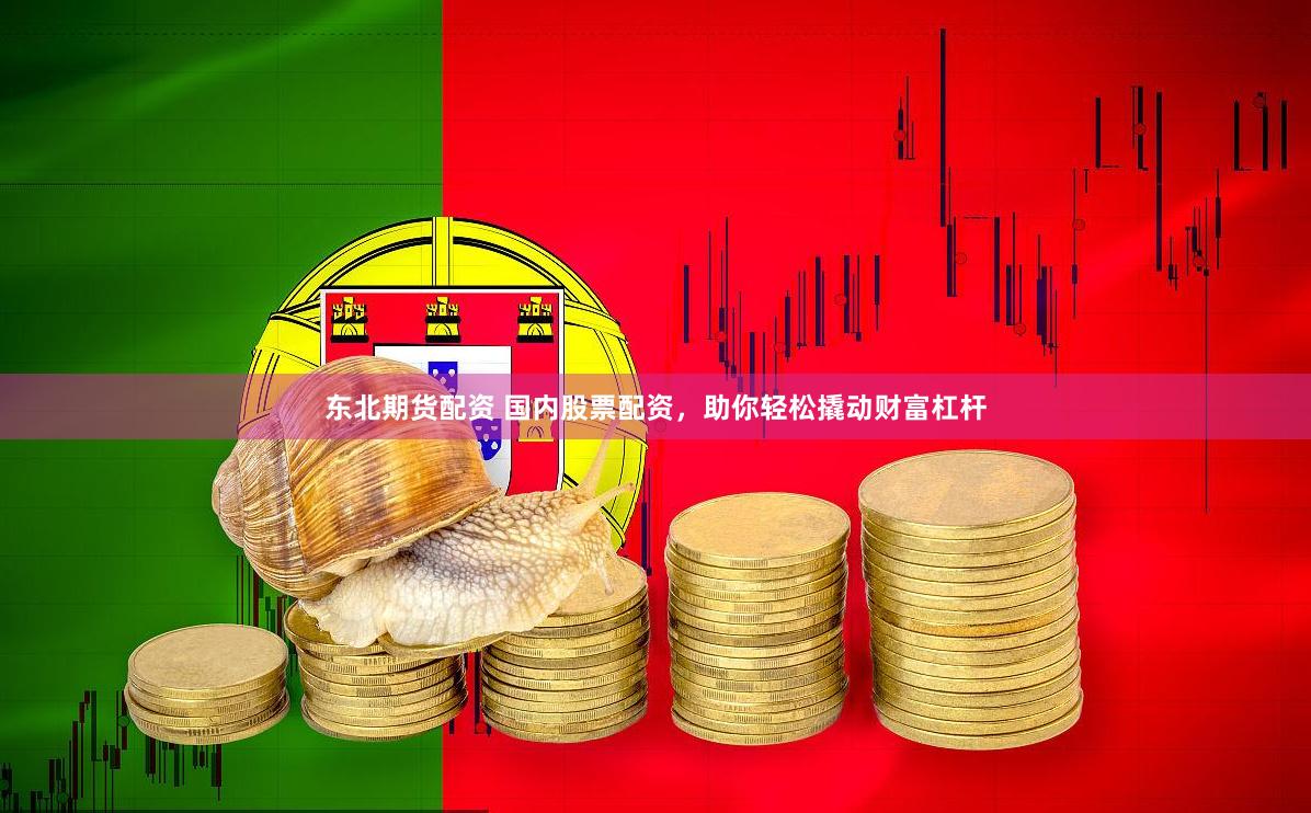 东北期货配资 国内股票配资，助你轻松撬动财富杠杆